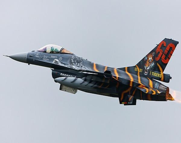 Chiếc máy bay chiến đấu F16 này được sơn họa tiết khá rùng rợn, với hình ảnh chú hổ.